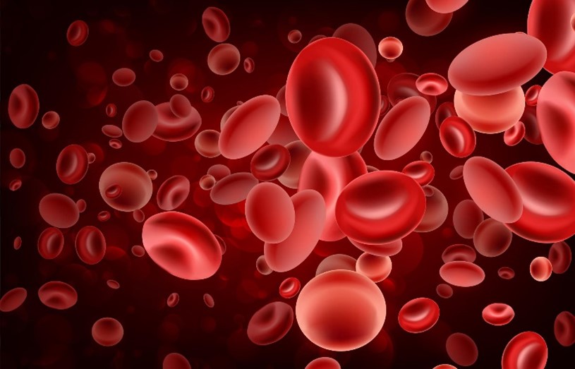 Can Natural Supplements Transform Your Health and Energy ? - Byte Topical