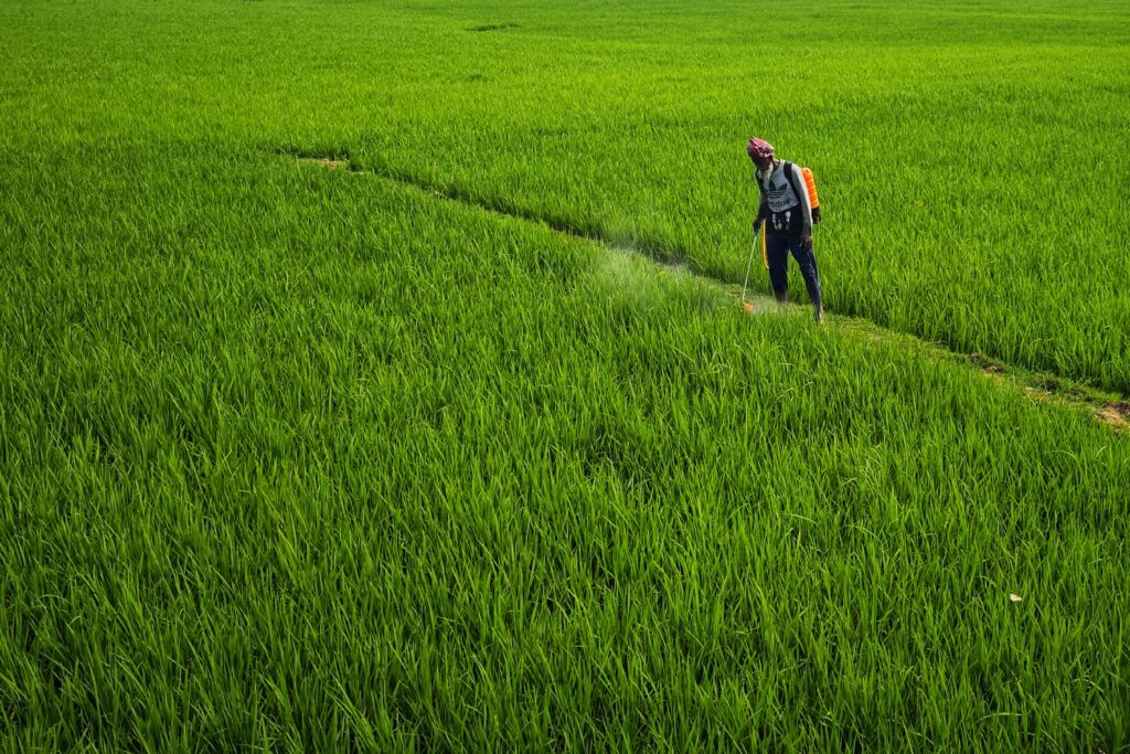 All About phytonutrients You Need To Know in 2025 - Byte Topical